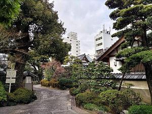 NAGOYA - Centre Ville et Vie Quotidienne - Janvier 2024 - 036